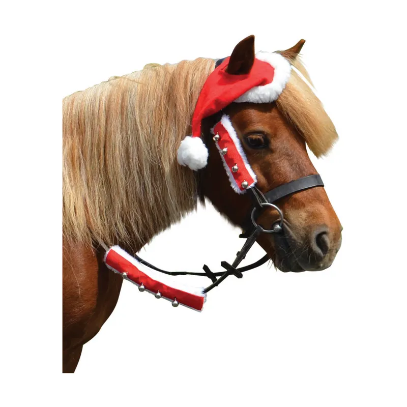 HyChristmas Santa Hat for Horses